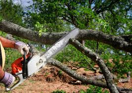 Best Firewood Processing and Delivery  in Harlowton, MT